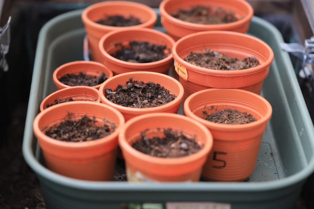 Creative Container Gardening Ideas Creative Container Gardening Ideas