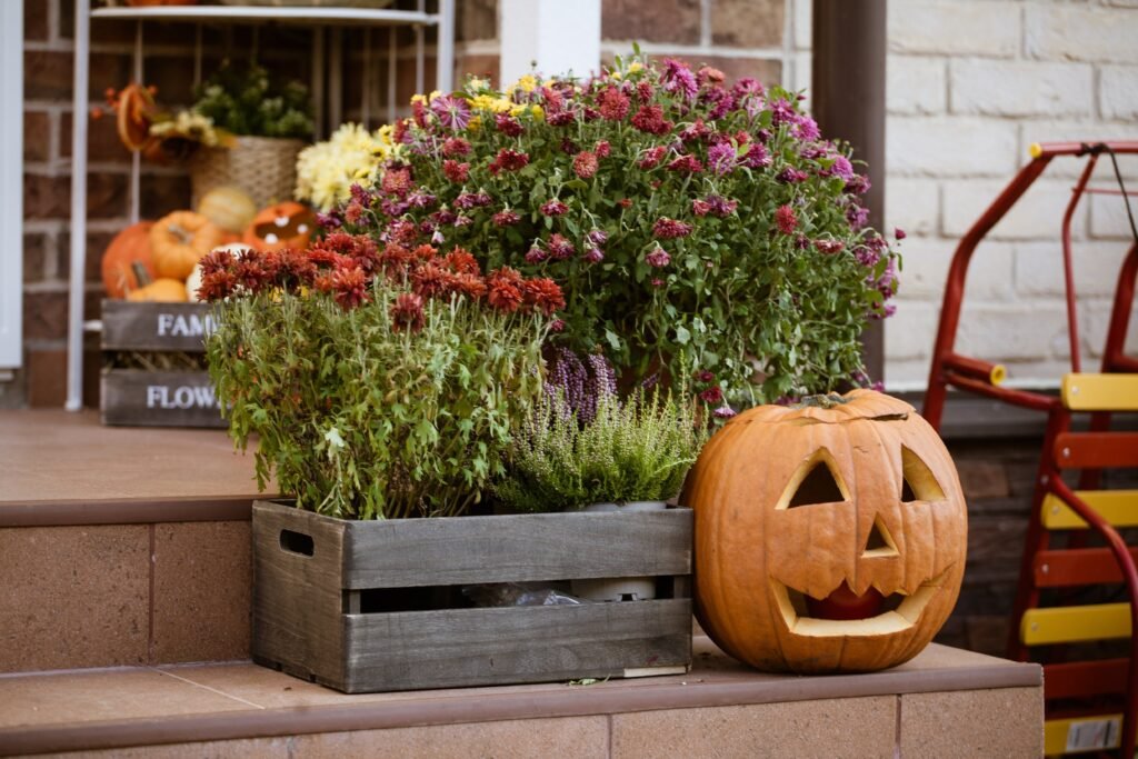 20 Fall Front Porch Decor Ideas on a Budget – Real Costs & Product Picks (2026)