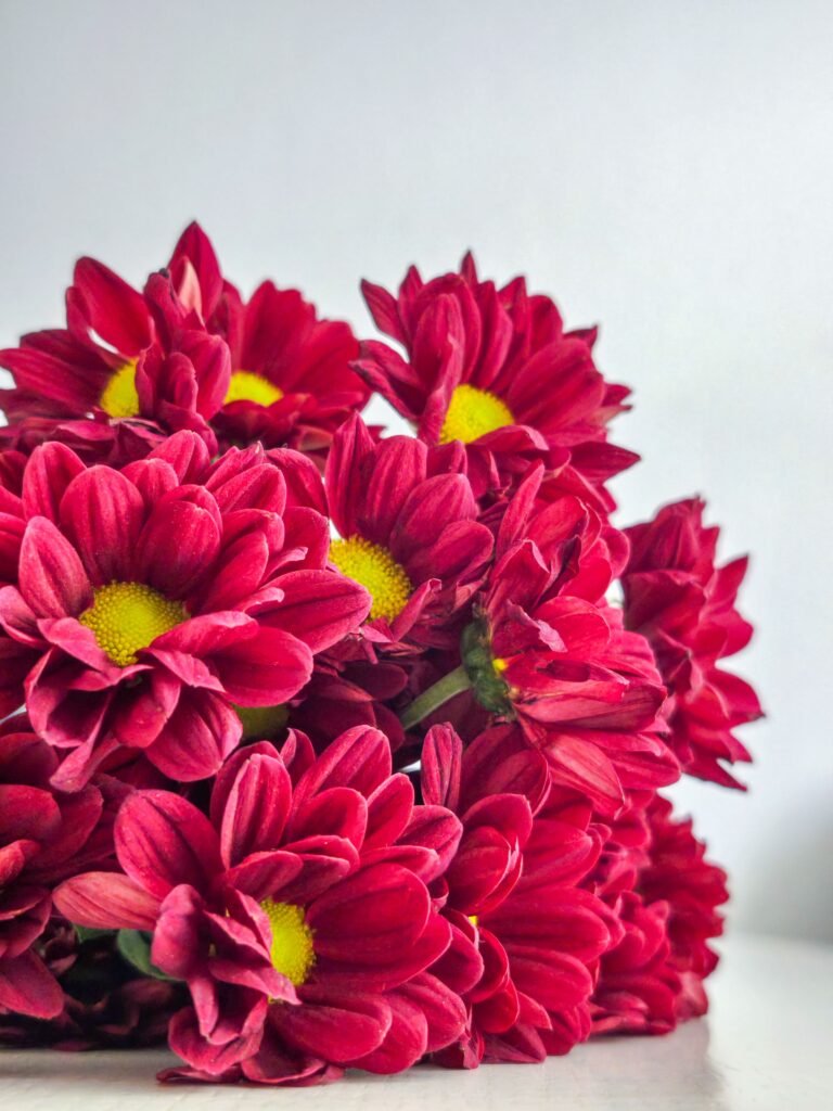 How to Keep Flowers Fresh Without Water How to Keep Flowers Fresh Without Water